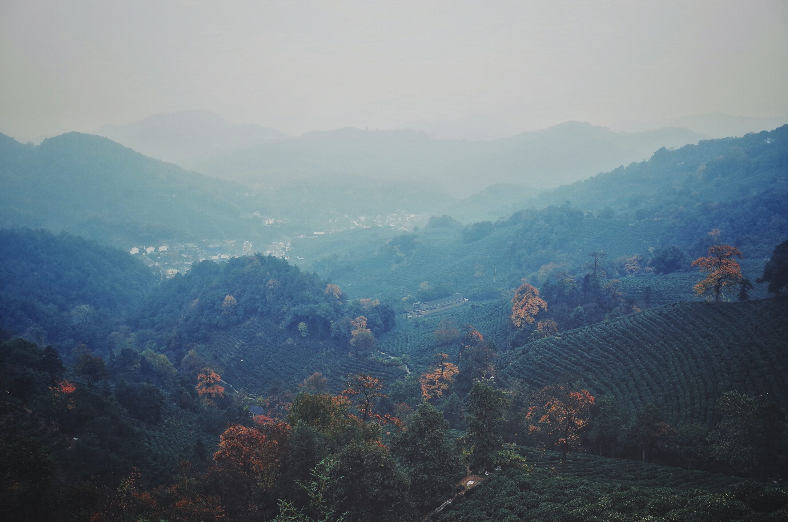 道教三清指的是什么？